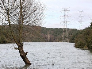 İstanbul'da barajların doluluk oranı yüzde 85'i geçti