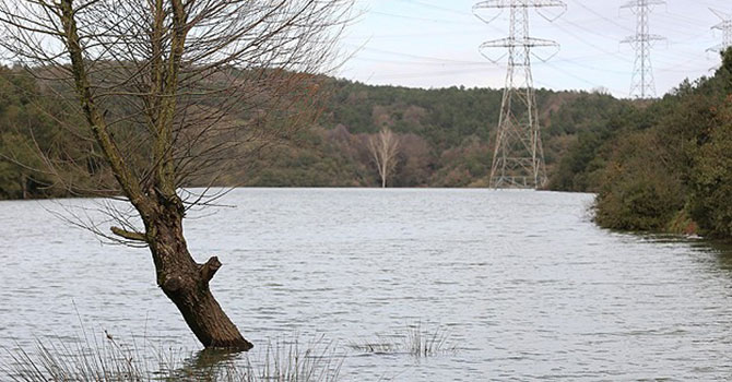 Barajlardaki doluluk oranı açıklandı