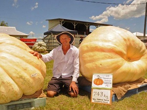 743 kiloluk bal kabağı görenleri şaşırtıyor