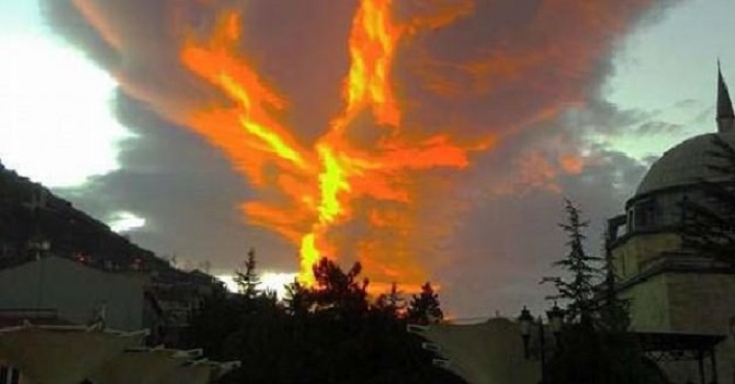 Görenleri şaşırtan görüntü