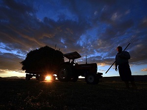 Çiftçilerin elektrik sorununda mutlu son