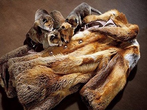 'Kürkünü çıkar, vicdanını giy' kampanyası başlatıldı