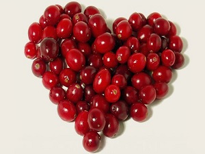 Vücudumuza baştan aşağı sağlık getiren besin 'kızılcık'