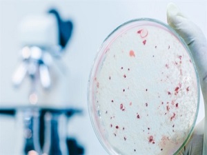 Eksikliği kansere neden oluyor