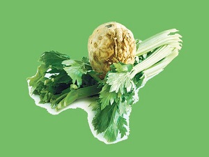 Kereviz kökü, kanserden koruyor