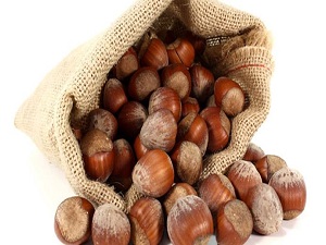 Fındıkta 828 milyonluk destek ödemelerine başlandı