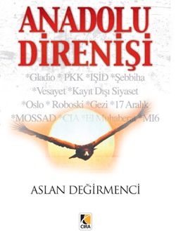 Aslan Değirmenci Anadolu Direnişi'ni yazdı
