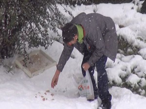 Soğuk havada kuşlara yem veren çocuk kameralara yansıdı