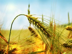 İhracatçıya iade müjdesi