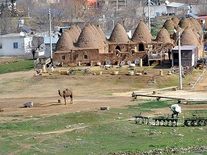 Harran mağdur kadınların umudu olacak