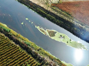Gediz'deki kirlilik Manisa Valisi'ni isyan ettirdi