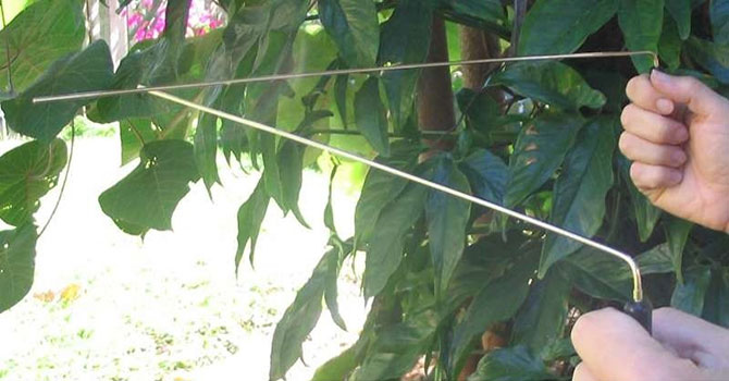 Risale Akademi seminerlerinde bu hafta