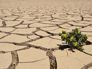 İklim değişikliği en çok İç Anadolu'yu vuracak