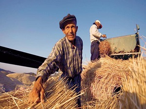 Tarım işsizliği tek haneli rakama çekti