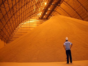 ABD soyanın fiyatını düşürüyor, Brezilya liderliği bırakmak istemiyor