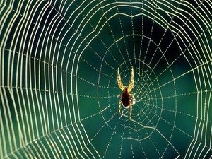 Dininden korkan adamın, dinde hissesi örümcek ağı gibidir