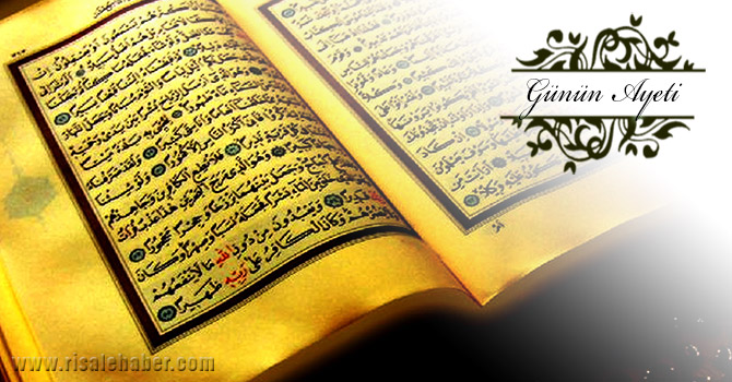 Bundan sonra karınlarını bununla dolduracaklar