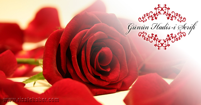 Size de dokunması için ona yönelin