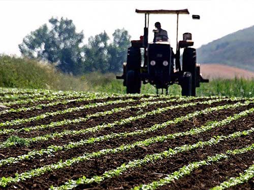 Çiftçilere destekleme ödemeleri başladı