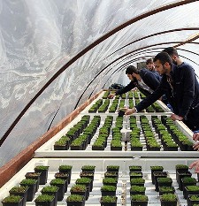 Saha zeminlerine "bilimsel" yaklaşım