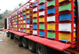 Karadeniz usulü arı nakil aracı