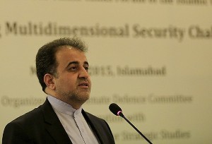 'Türkiye D-8 ülkeleri arasındaki en aktif ülke'