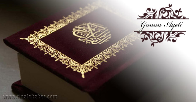 Onlar öyle kimselerdir ki, Allah kalblerini mühürlemiştir