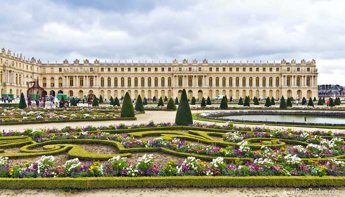 Hollanda selfie çubuğunu yasakladı
