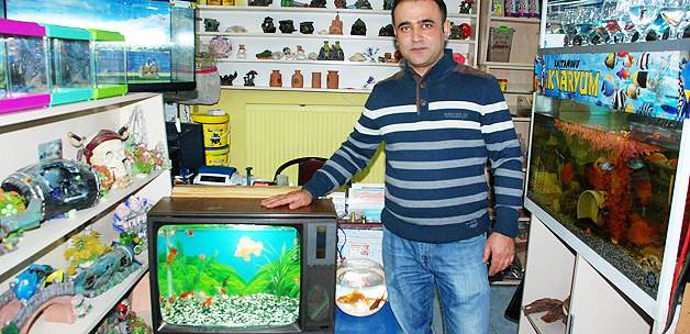 Televizyonu akvaryum yaptı