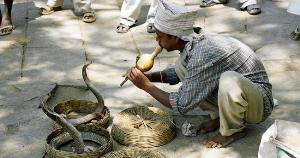 Türk ihracatının yeni hedefi Hint pazarı