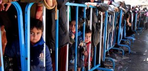 Ölülerini defnedecek mezar bulamadılar