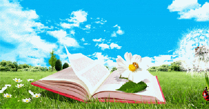 Risale-i Nur ve Çevre semineri