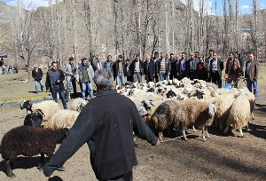 Erzurum'da "sürü yönetim" kursu verildi