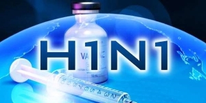 Akdur: Domuz gribi koca bir yalan