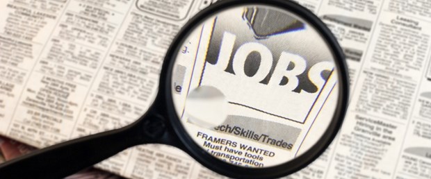 İş ilanları için arama motoru geliştirdiler