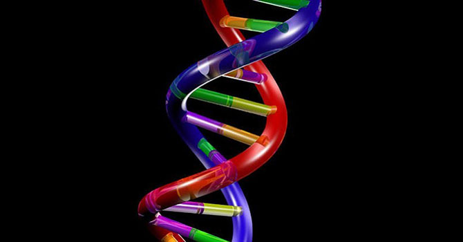 İnternet depolara sığmayınca sıra DNA’ya geldi
