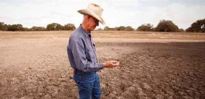 ABD'de kuraklık alarmı