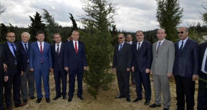 Denizli'de Şehit Savcı için fidan dikildi