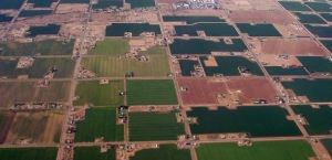 Tarımsal destek ödemeleri başladı