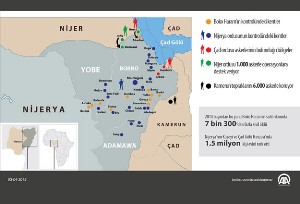 Boko Haram'a karşı uluslararası çabalar arttı