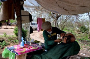 Tek sermayeleri; makas, jilet ve bir de ağaç