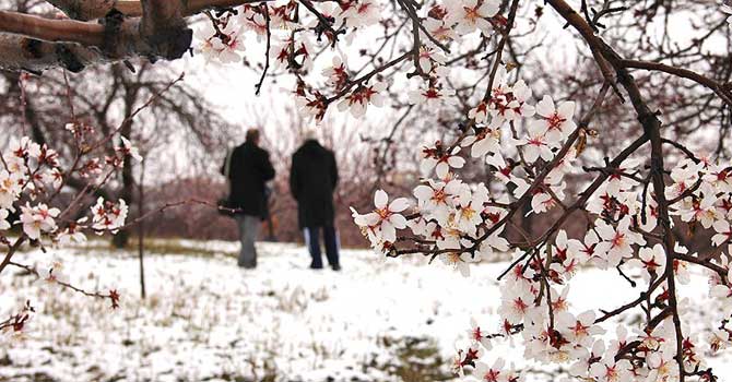 Kar yağışı gönderiliyor