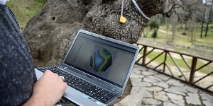 5 bini aşkın ağaca MR çekildi