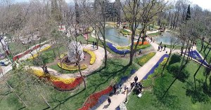 İstanbul parklarına 8,5 milyon lale dikildi