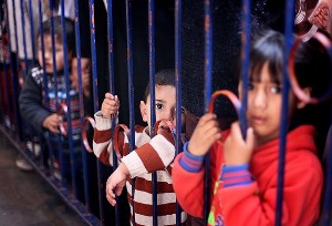 'İsrail Filistinli çocukları sömürüyor'