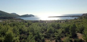 Nükleerde ilk temel yarın atılıyor