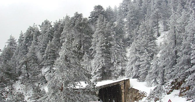 Zigana Dağı beyaza büründü