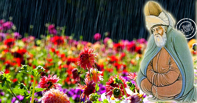 Türkiye ve İran'dan sonra o ülke de itiraz etti: Mevlana bizimdir