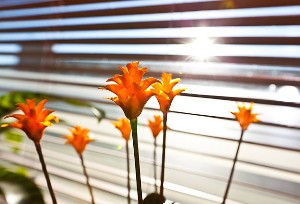 Sabah namazına kalkanlar şanslı: Güneşi hisseden...