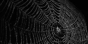 "Örümcek ağı" sanatla buluştu